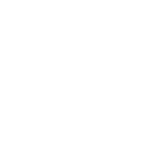 BERT